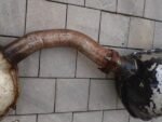 Premerger AMG R129 Exhaust System - AMG CAR PARTS SHOP
